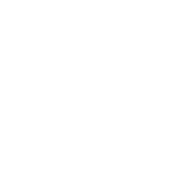 Nelson Martins Photography